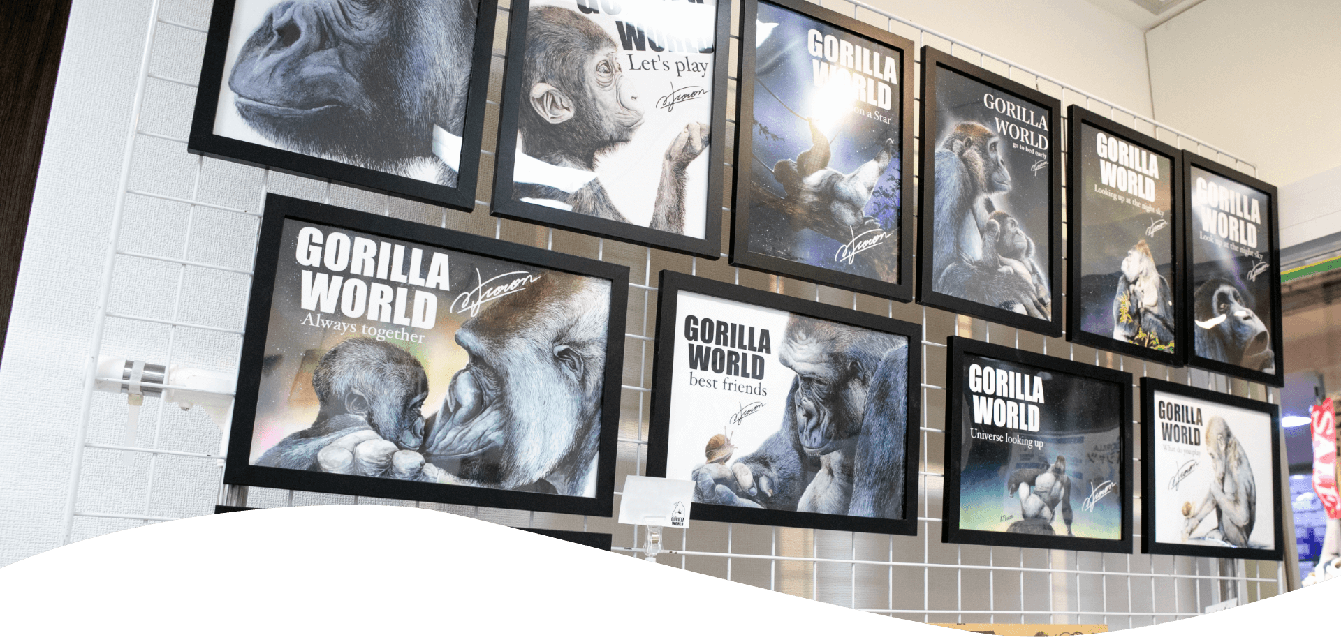 GorillaWorld