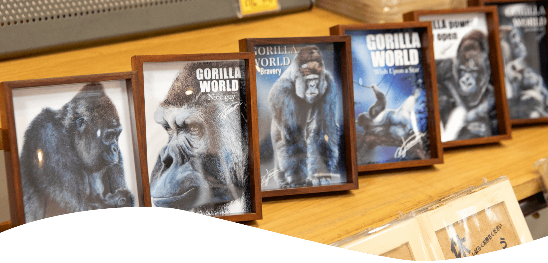 GorillaWorld